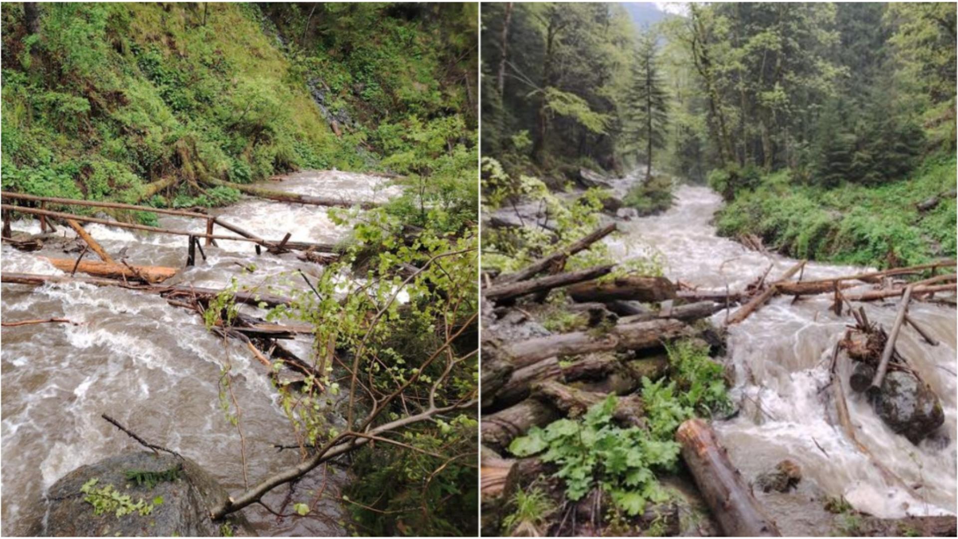 Județul Brașov, măturat de ploile torențiale. FOTO: Salvamont Brașov 