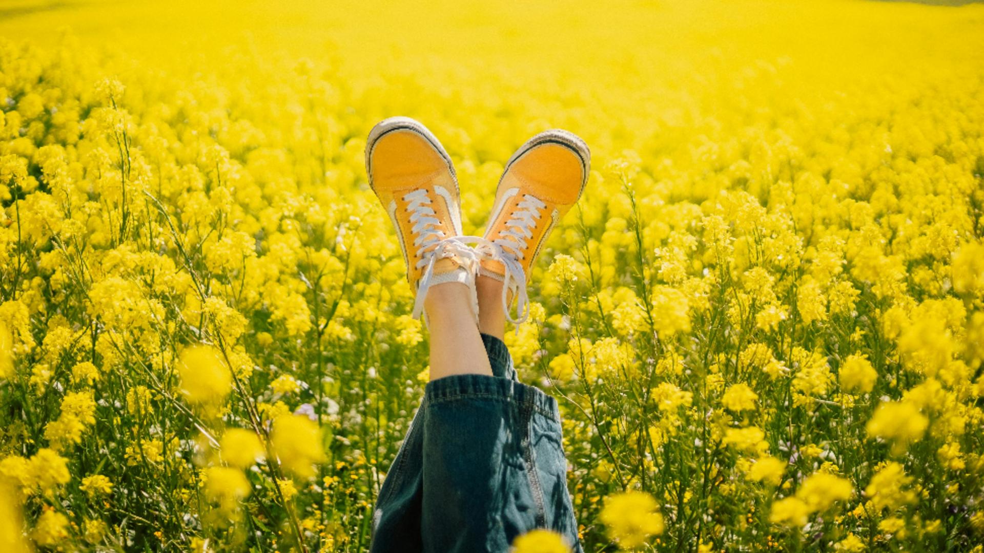 Cele mai NOROCOASE zodii ale lunii MAI. Vezi dacă te numeri printre ele!
