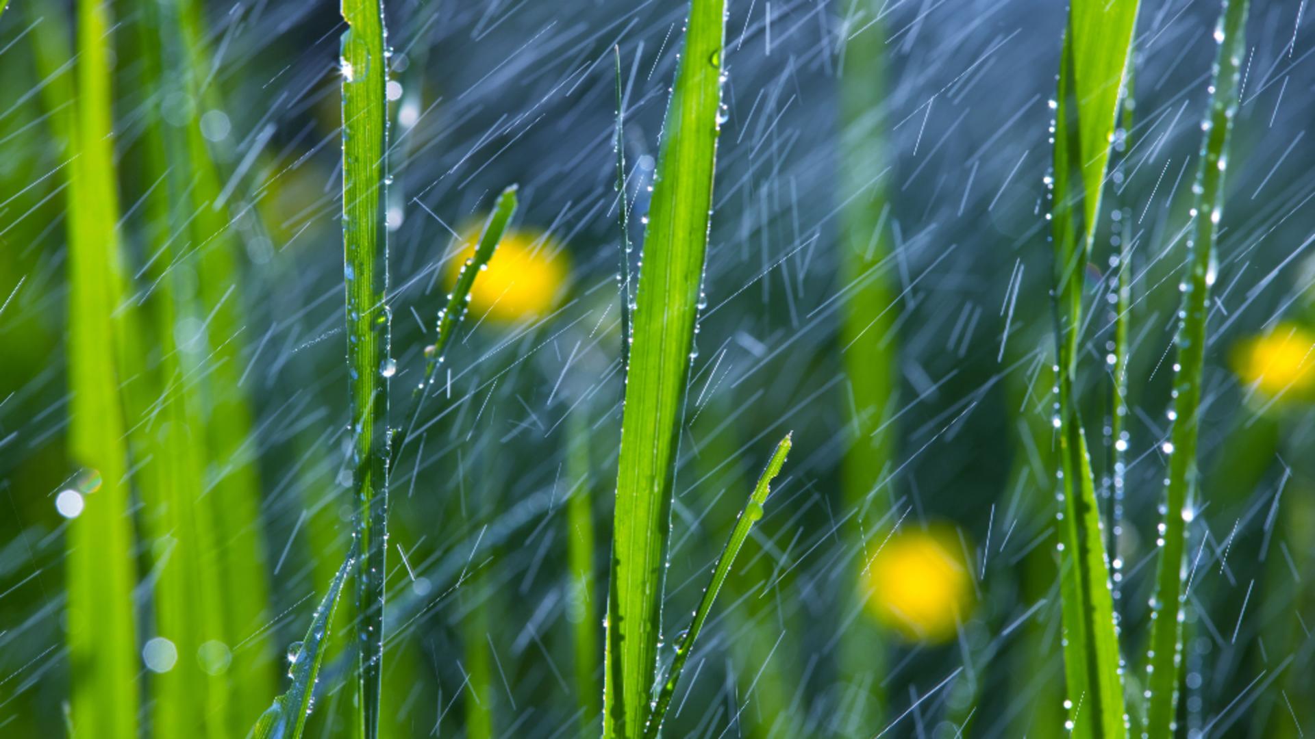 Vremea 7 mai. Temperaturi în scădere, ploi și vijelii în mare parte din țară. Maximele nu vor trece de 18 grade /Profimedia