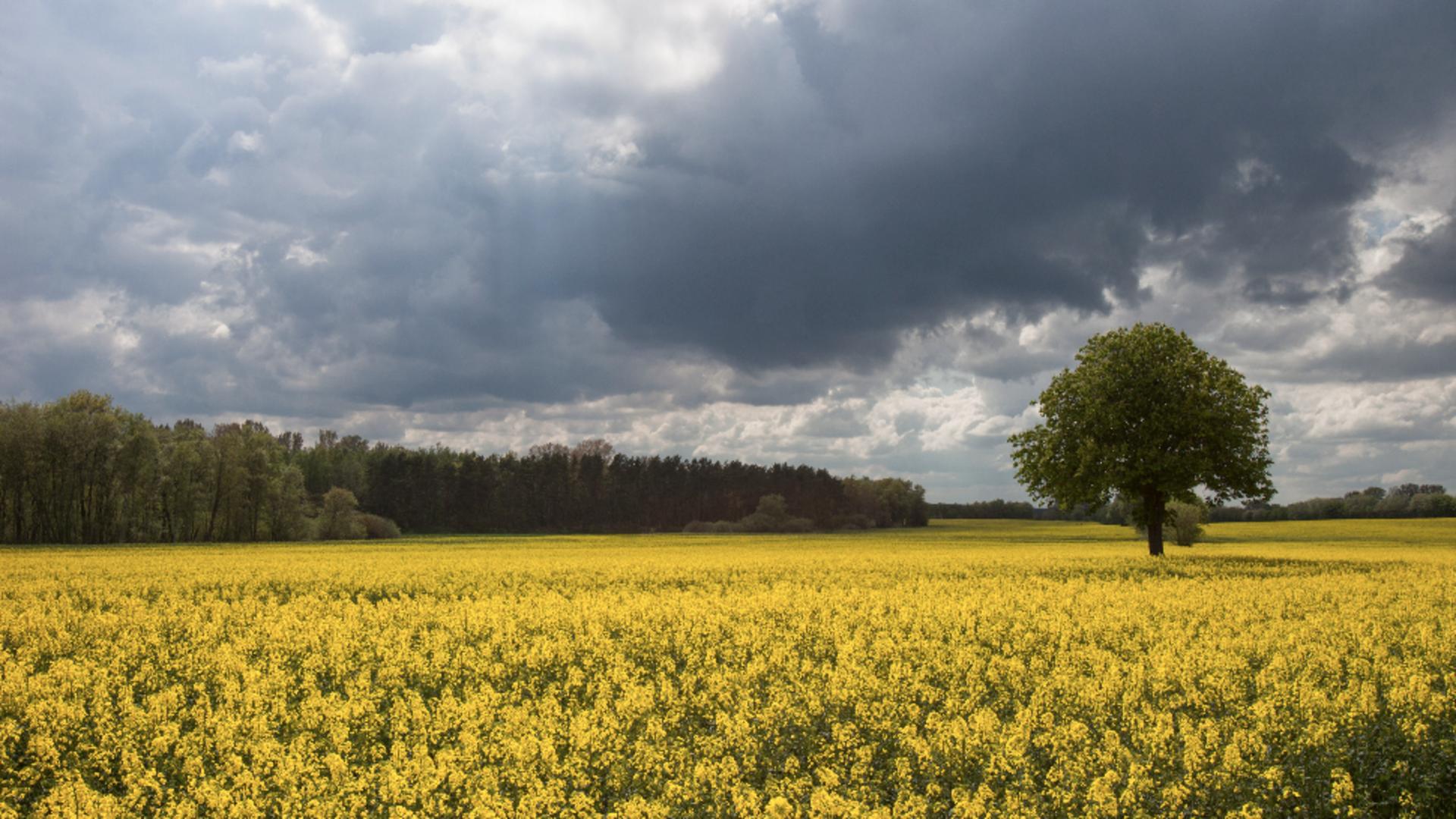 Vreme capricioasă la început de mai: temperaturile vor crește semnificativ la finalul lunii/ Profimedia