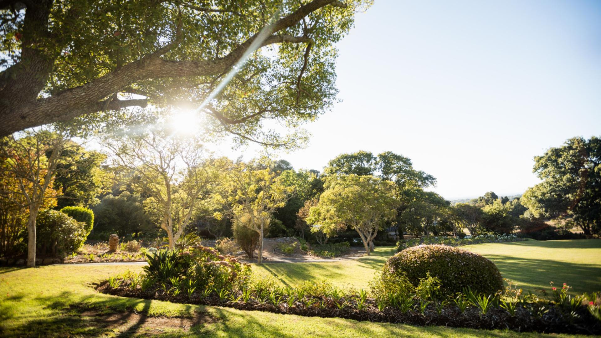 Vremea 31 mai. Temperaturile cresc în toată țara: zi cu aspect de vară. Unde mai sunt posibile precipitații/ Profimedia