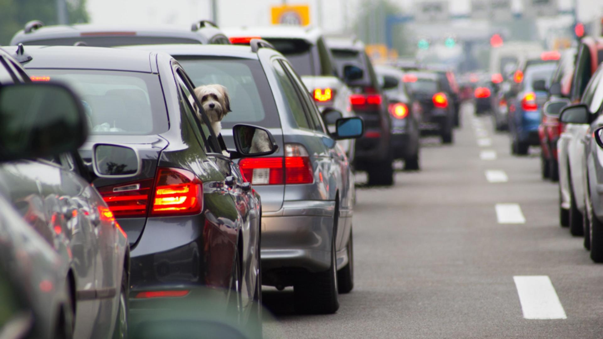Noi REGULI pentru proprietarii de mașini! Sunt vizați șoferii care conduc autoturisme pe motorină și disel: ce li se pregătește/ Profimedia