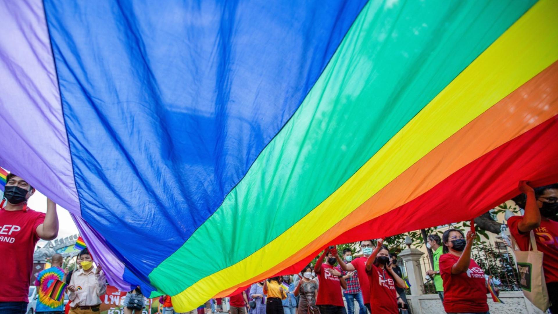 Elveția interzice steagul LGBT pe scenă. Foto: Profimedia