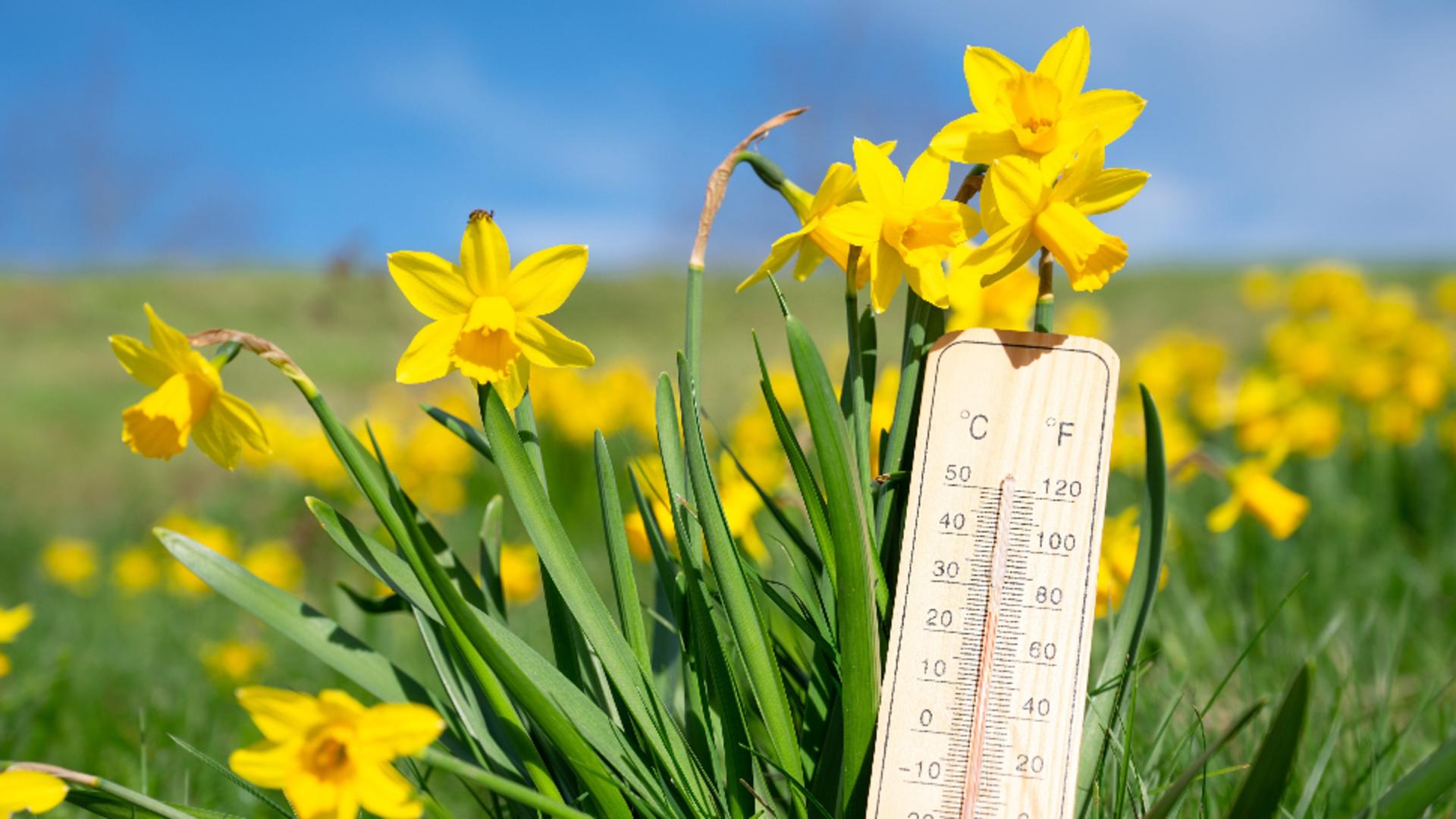 Vremea 20 mai. Temperaturile cresc în toată țara, dar se menține și instabilitatea atmosferică: unde ar putea să plouă astăzi /Profimedia