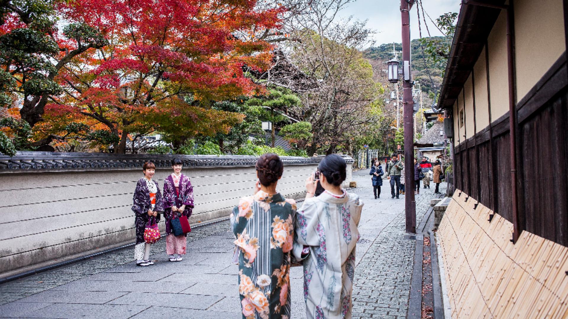 10 REGULI nescrise pentru turiștii care vizitează Japonia. Este obligatoriu să ții cont de ele când ești la masă sau în lift /Profimedia