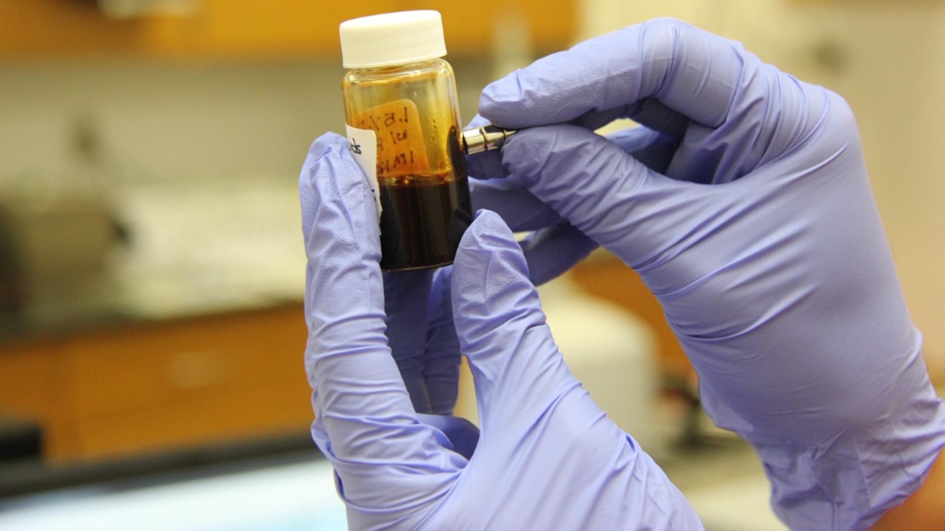 Alertă sanitară globală: o ciupercă letală care devorează corpul se răspândește accelerat pe fondul încălzirii globale