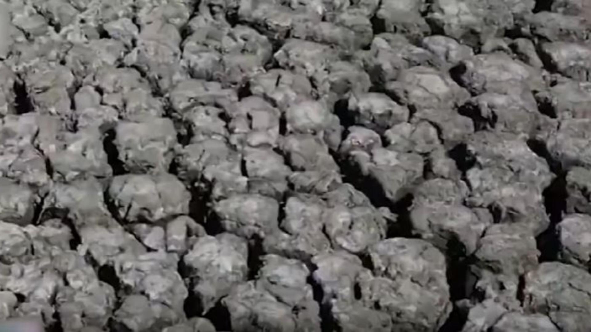 Scenariu SUMBRU în Europa! Resursele de apă vor fi limitate