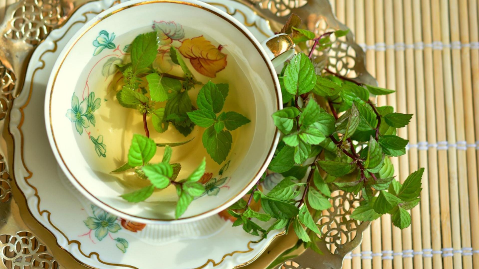 Sirop de mentă. Cum să-l prepari și de ce TREBUIE să-l ai mereu în cămara ta