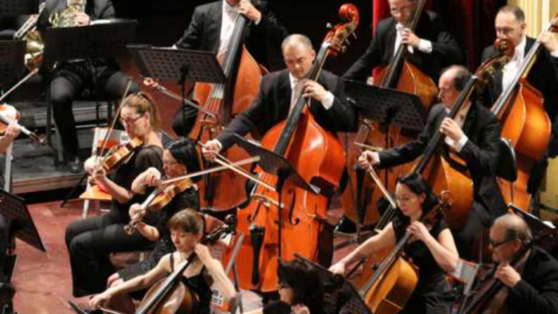 O serie de expoziții și piese de teatru își așteaptă vizitatorii. filarmonicais.ro 