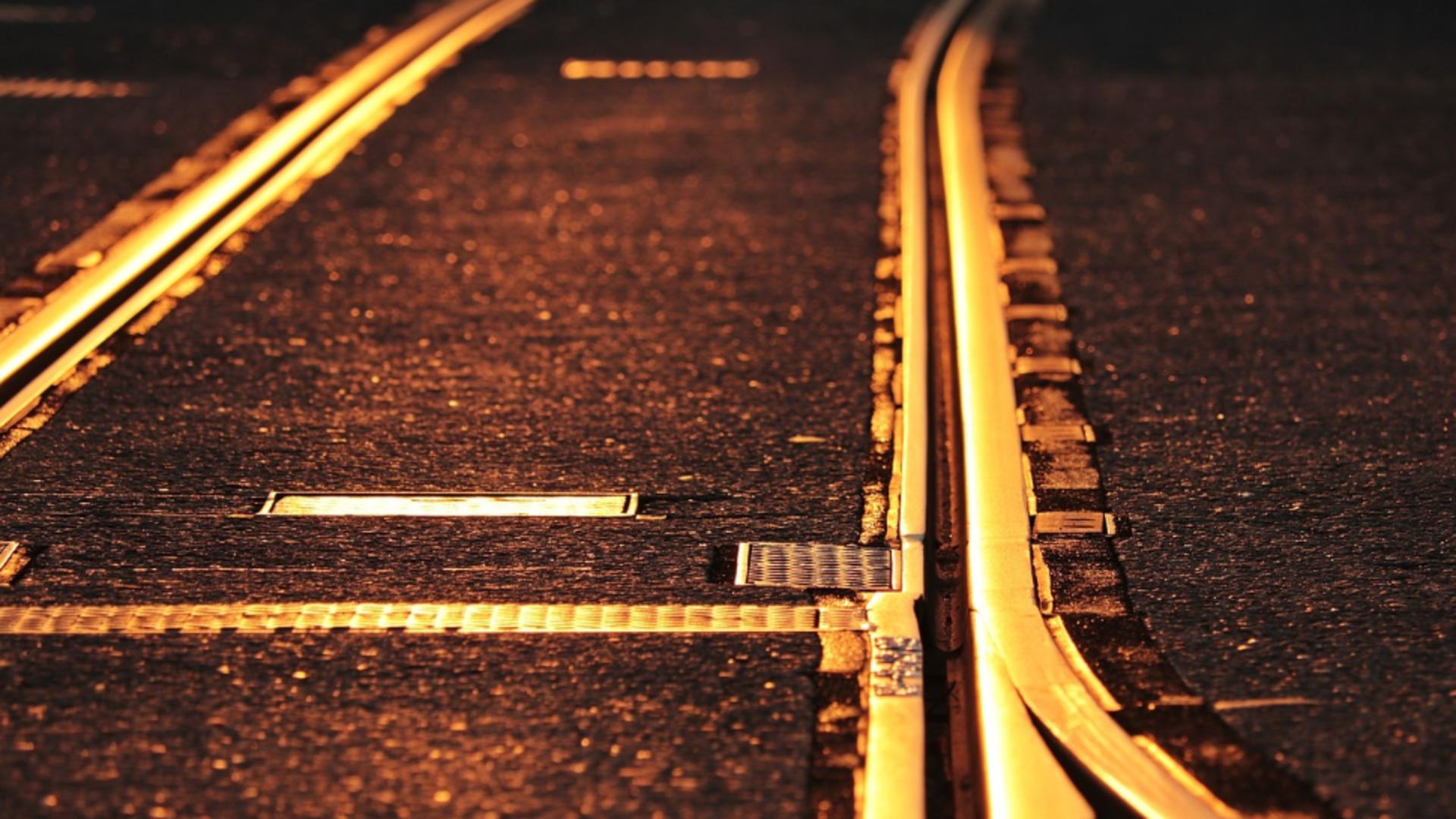 Incident neobișnuit în Japonia: un șarpe a paralizat circulația trenurilor de mare viteză timp de două ore