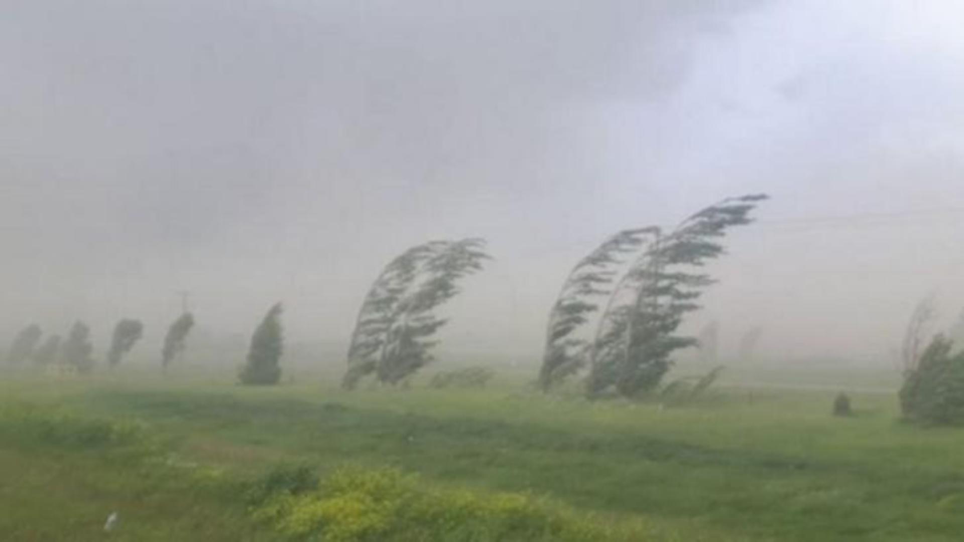 Alertă ANM! Cod galben de vânt în patru județe.