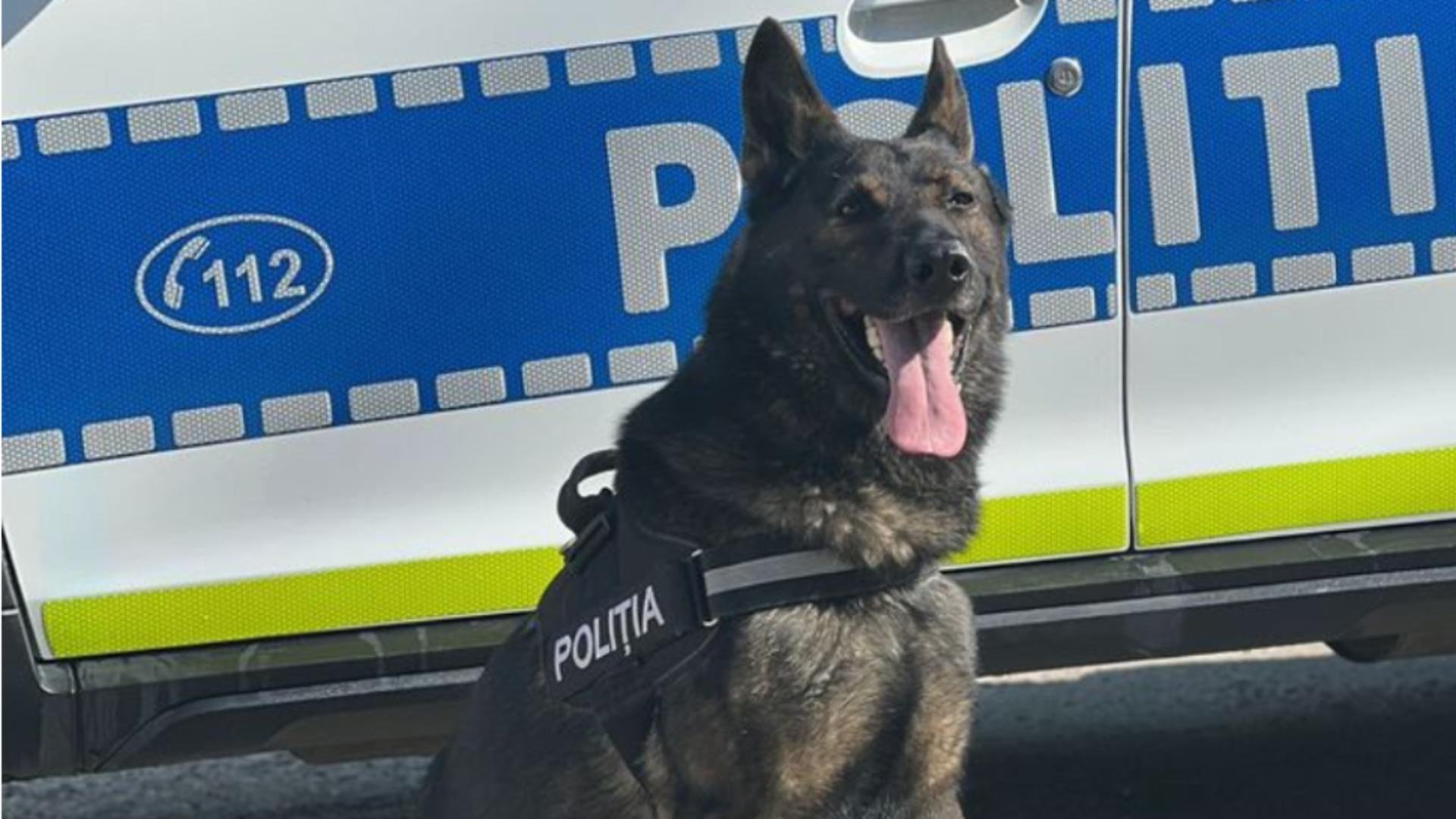 Au intrat în casă peste un vecin și i-au furat portofelul cu 4000 de euro! Hoții aveau fețele acoperite: cine le-a dat de urmă