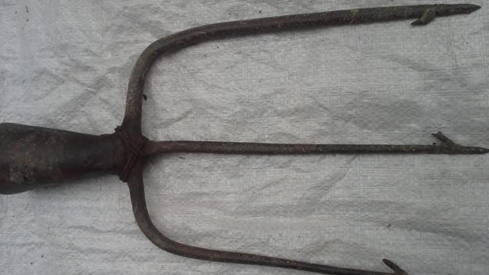 Sandolia mai este denumită si ostie