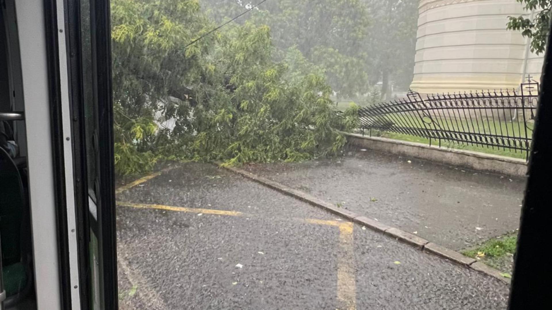  Vremea rea a făcut ravagii în România. Pomi căzuți pe tramvaiul 32 din Capitală