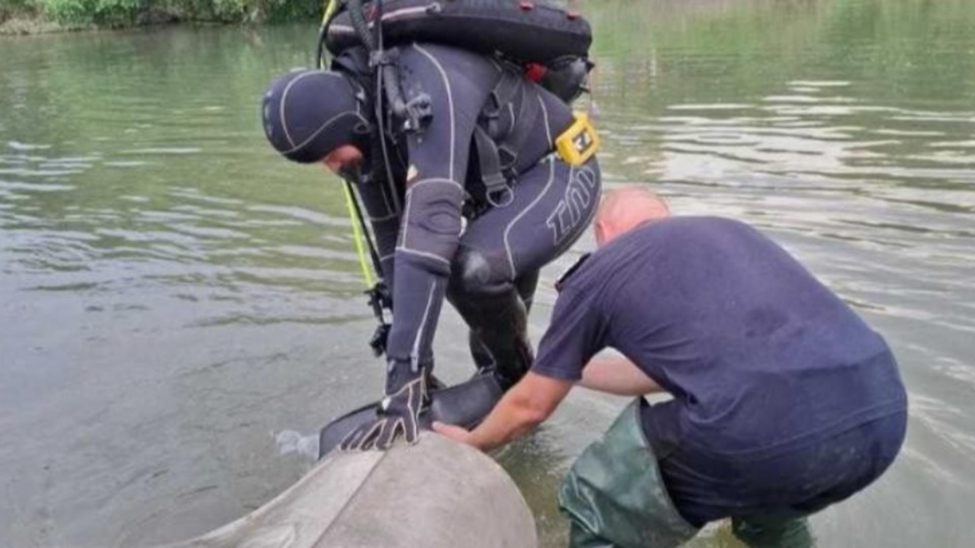 Descoperire șocantă pe râul Argeș: cadavrul unui indian de 32 de ani a fost găsit plutind pe apă