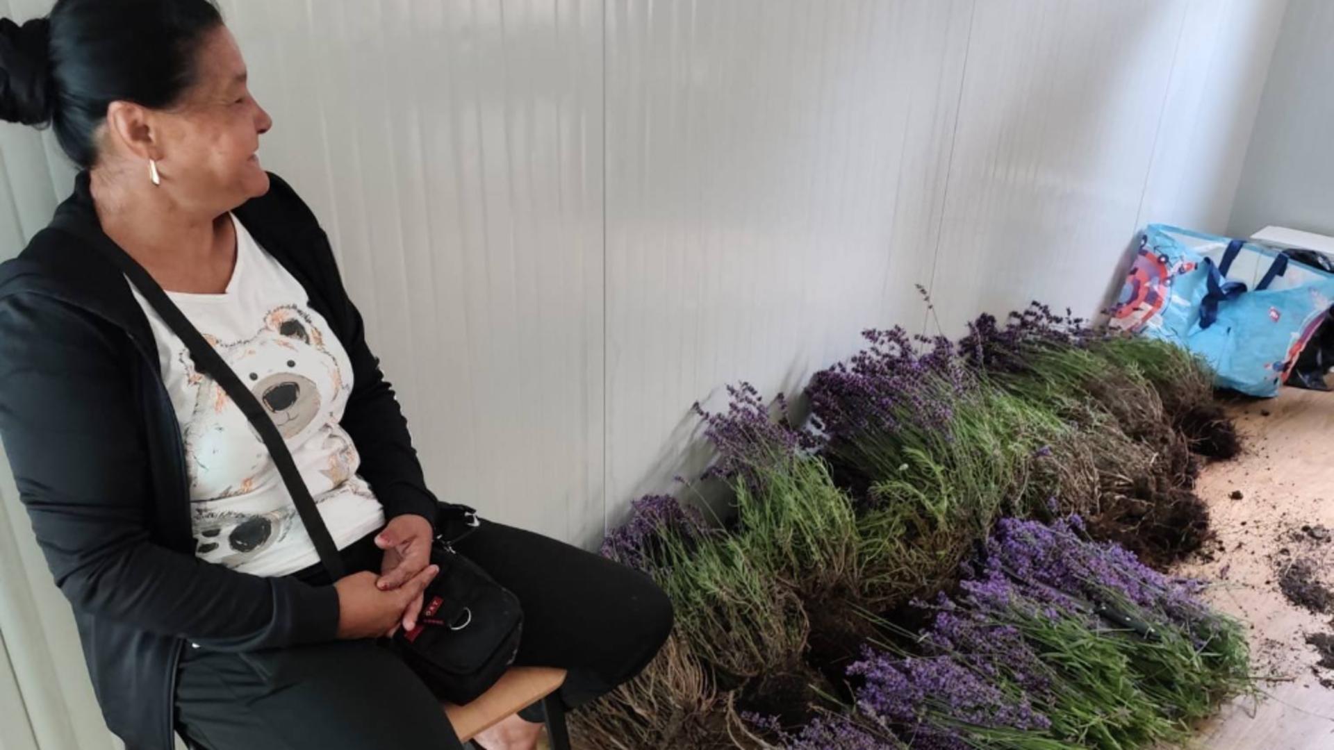 Furt de lavandă în Sectorul 6: o femeie surprinsă în flagrant, amendată de două ori în mai puțin de o oră