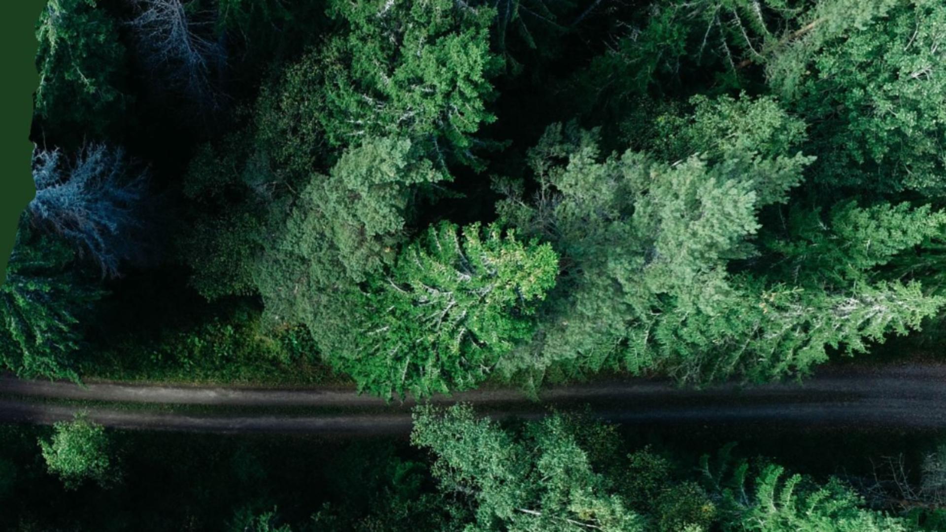 Bolojan a invocat abia la finalul listei de austeritate salariile nesimțite