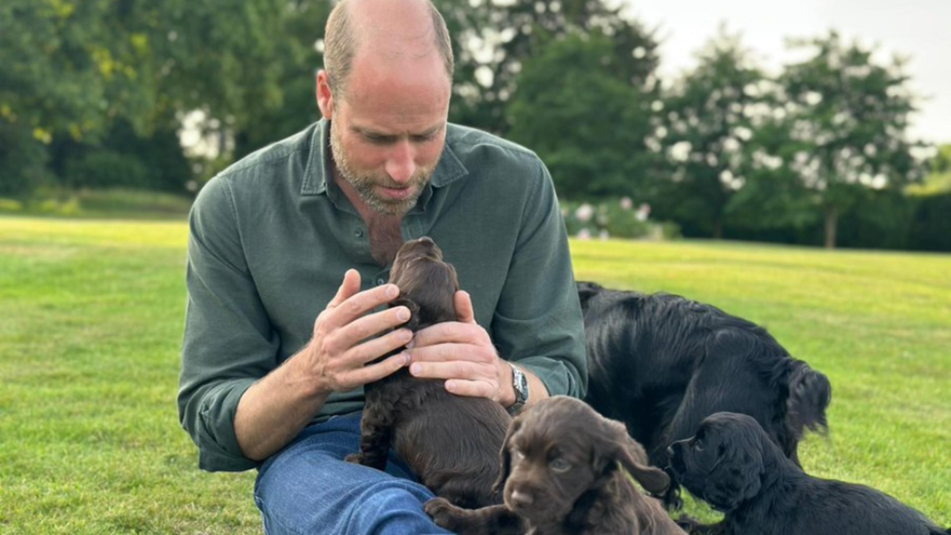 Numeroși susținători ai familiei regale au acuzat PETA de fanatism doctrinar