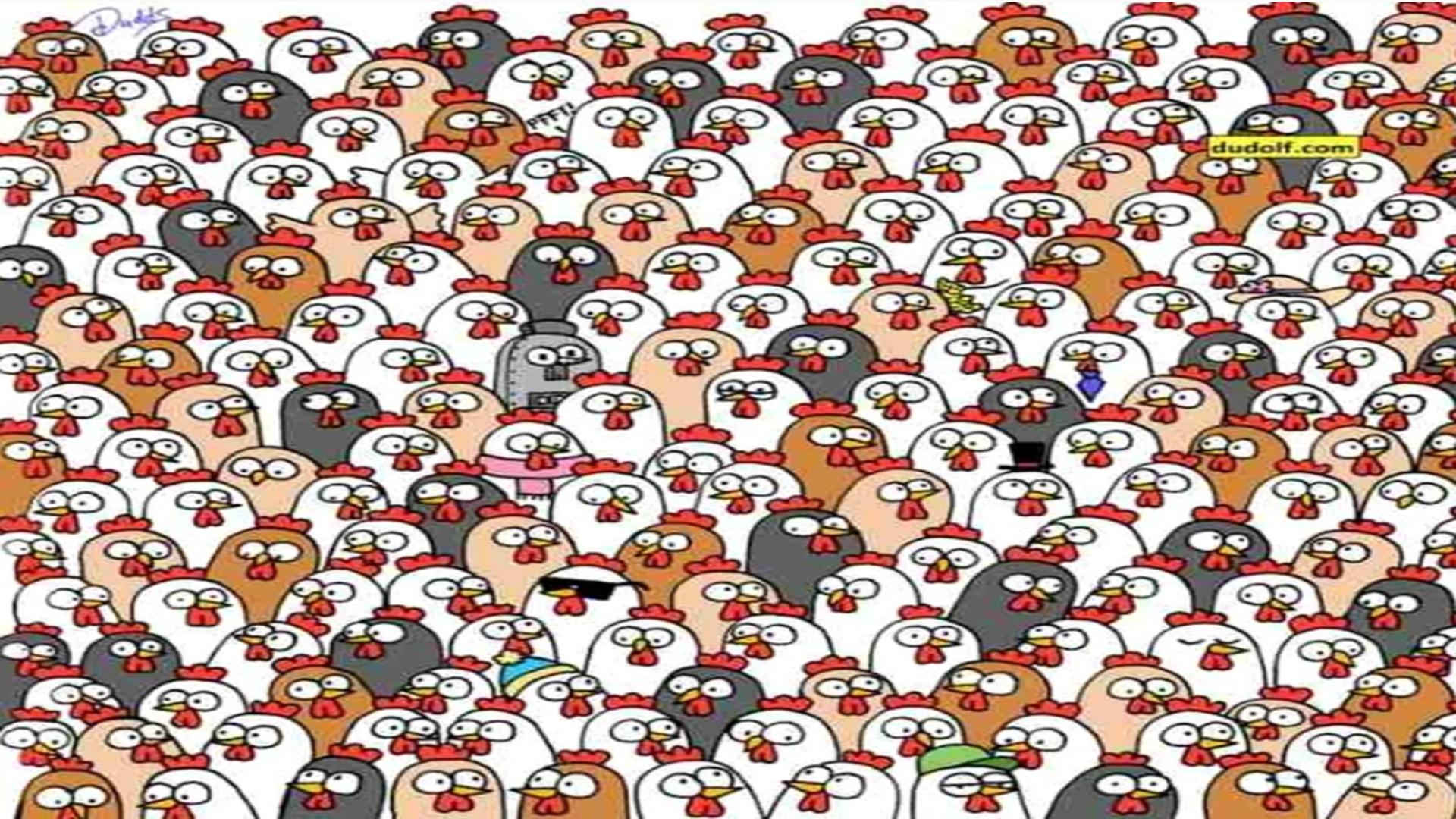 Unde se ascund cele trei bufnițe printre zeci de găini? Majoritatea greșesc!