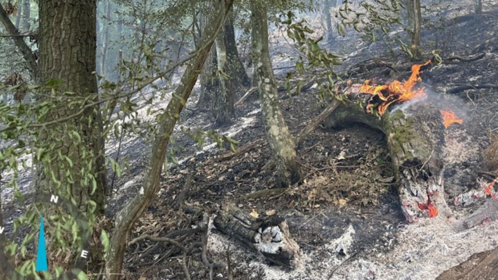 Incendii de vegetație pe Clisura Dunării: pompierii intervin de trei zile. Două elicoptere MAI, implicate în misiune