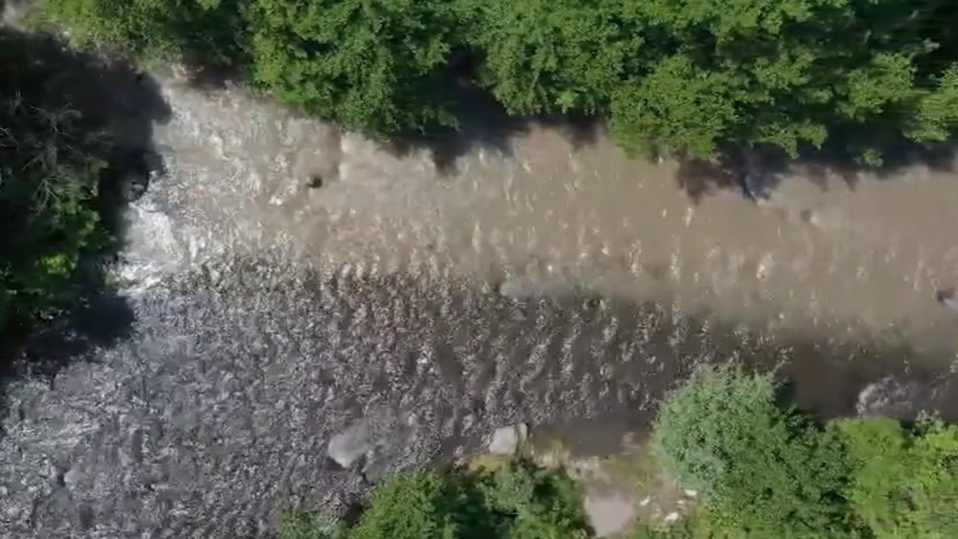 Dezastrul de la Praid ia amploare! Pești și castori morți, salinitate scăpată de sub control/ Captură video