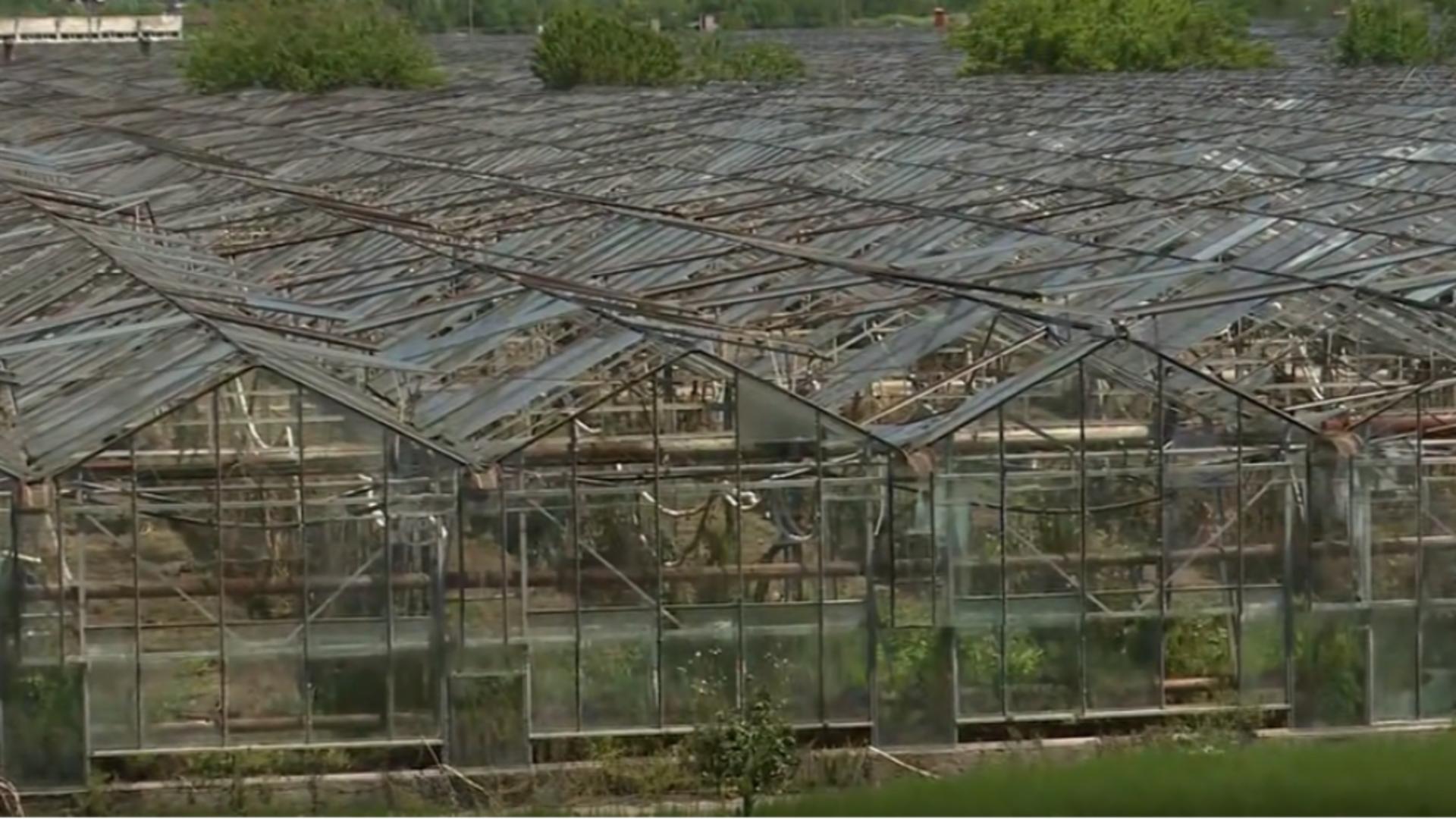 Cum și-a construit Becali un IMPERIU. Circuitul BANILOR/ Captură video