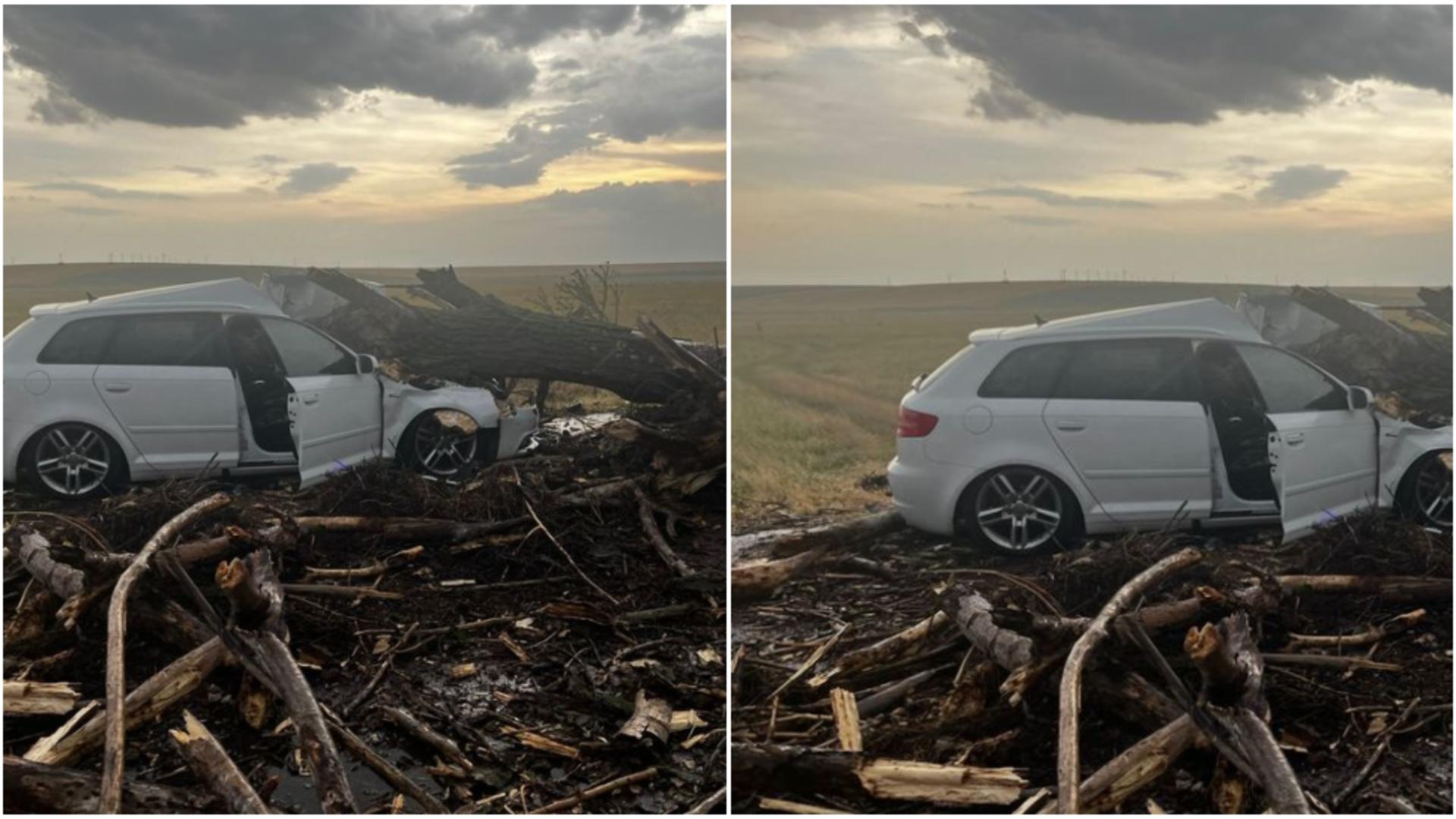 Copac dobortât de vânt peste o mașină în Teleorman! FOTO: ISU Teleorman