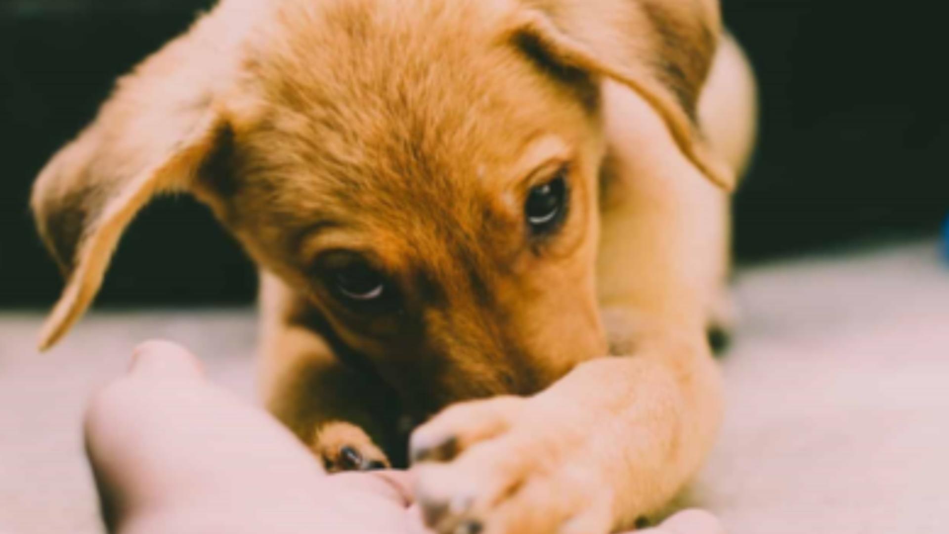 Amenda colosală primită de un bărbat din Constanța