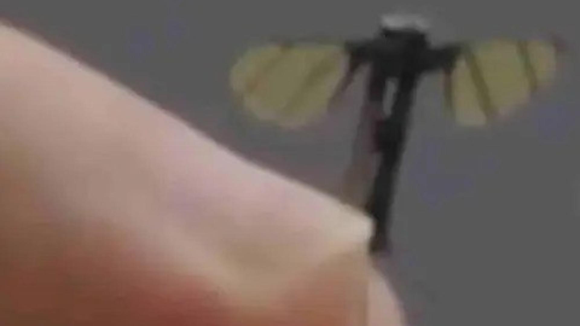 Drona „țânțar" îngrijorează profund experții occidentali. Foto/Captură video