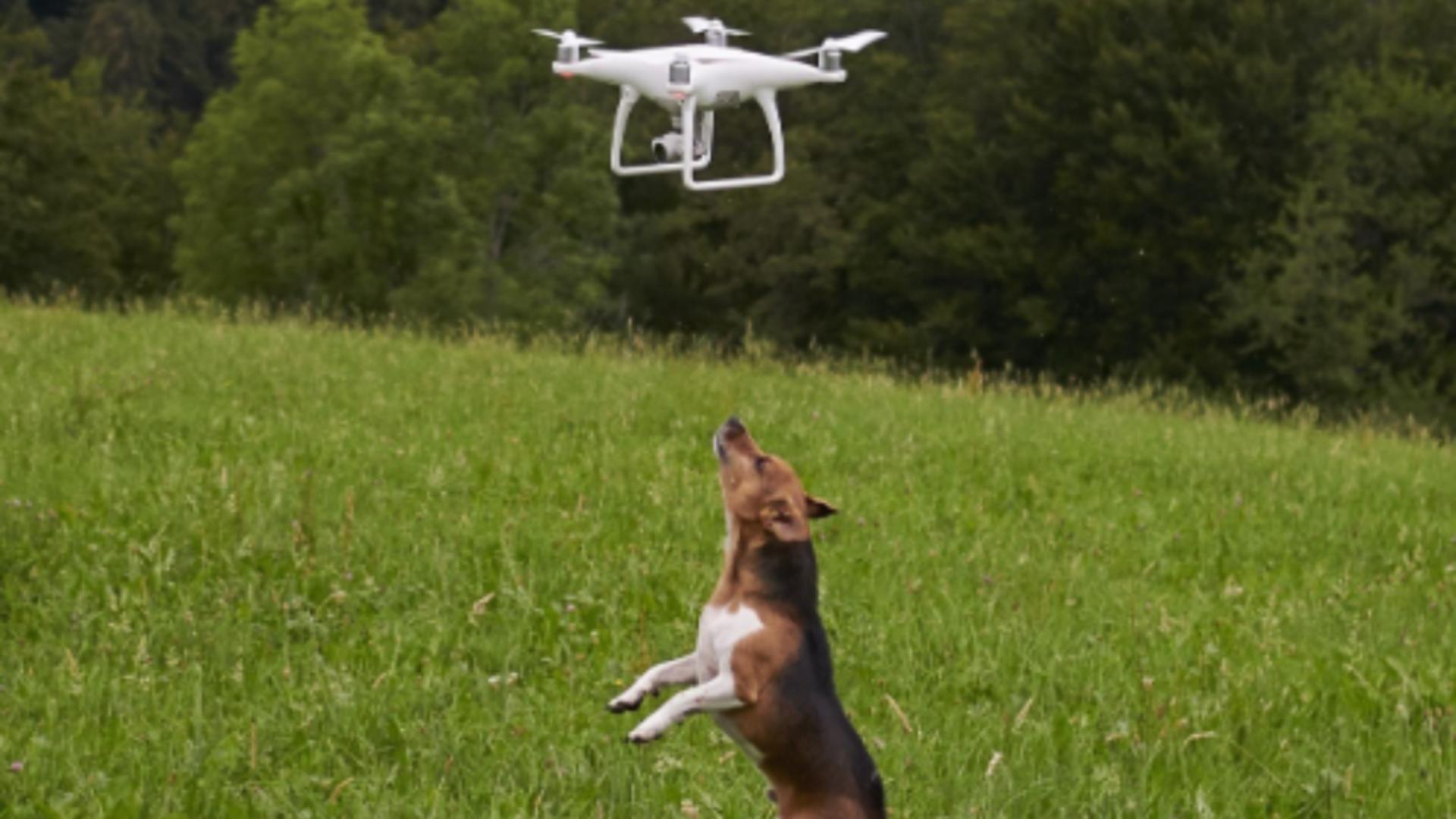 Cum a ajuns un sat să fie asaltat de drone