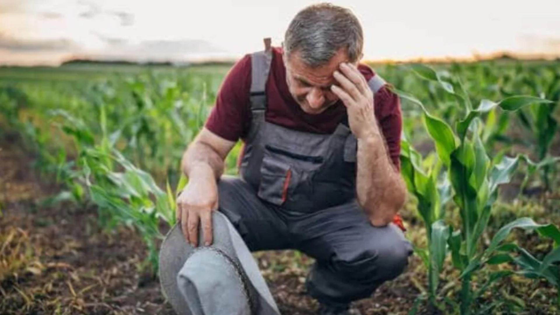 Fermierii englezi îi dau dreptate lui Călin Georgescu