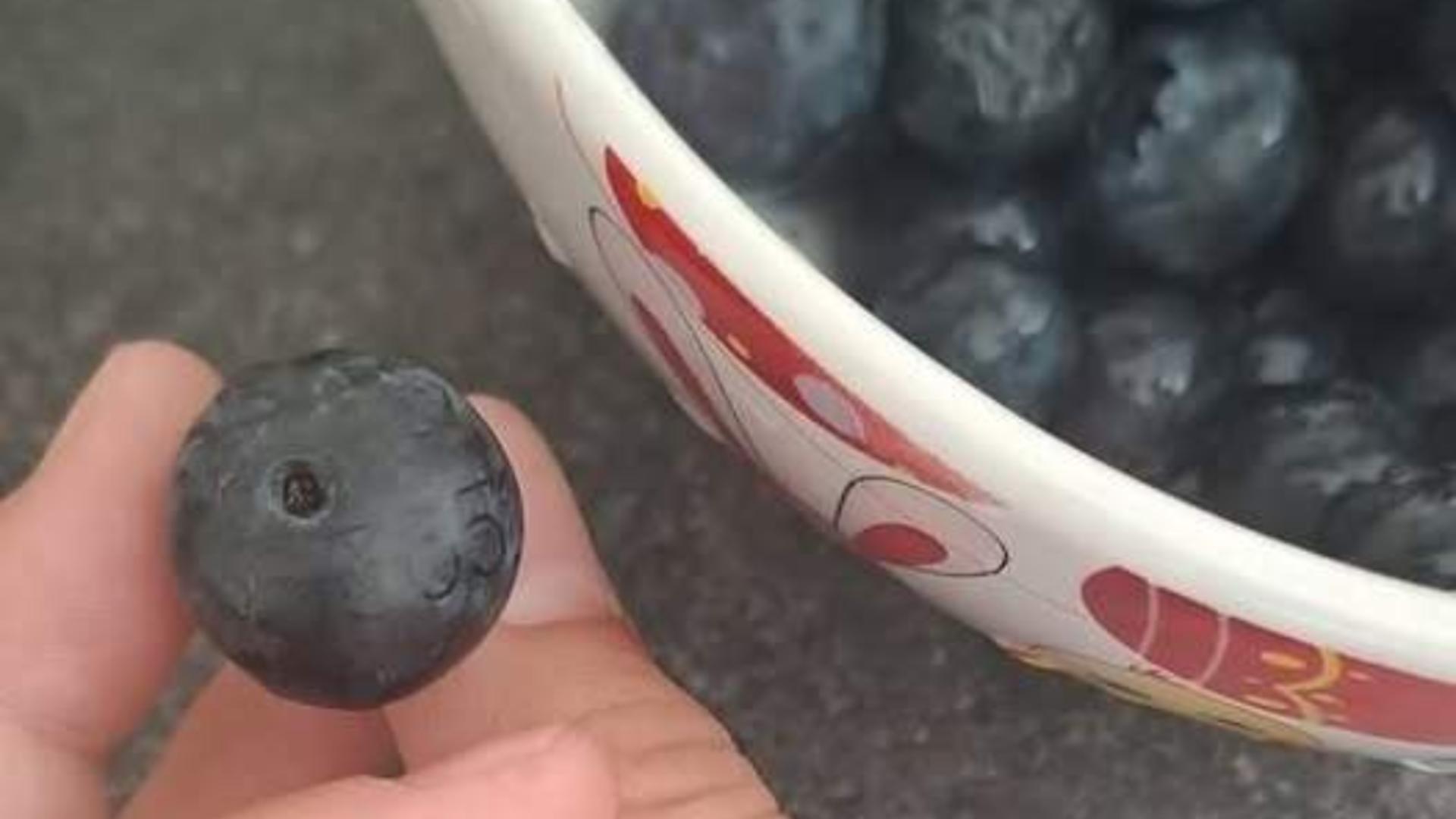 Afine cu „mesaj secret”? Un român susține că a găsit un cod ciudat imprimat pe un fruct cumpărat din supermarket