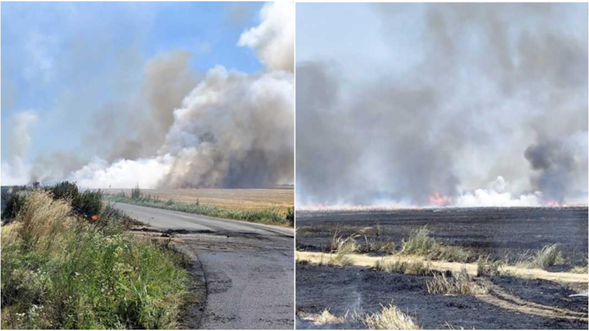 Incendiile de vegetație au făcut prăpăd în Dâmbovița. FOTO: ISU