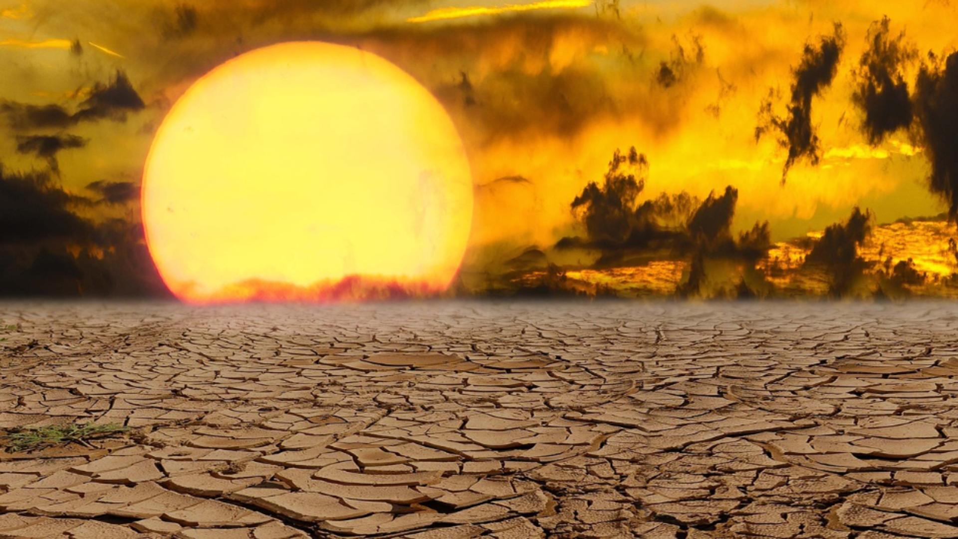 Japonia, sub asediul caniculei: trei morți și sute de persoane afectate de temperaturile extreme. Recorduri istorice în 14 orașe