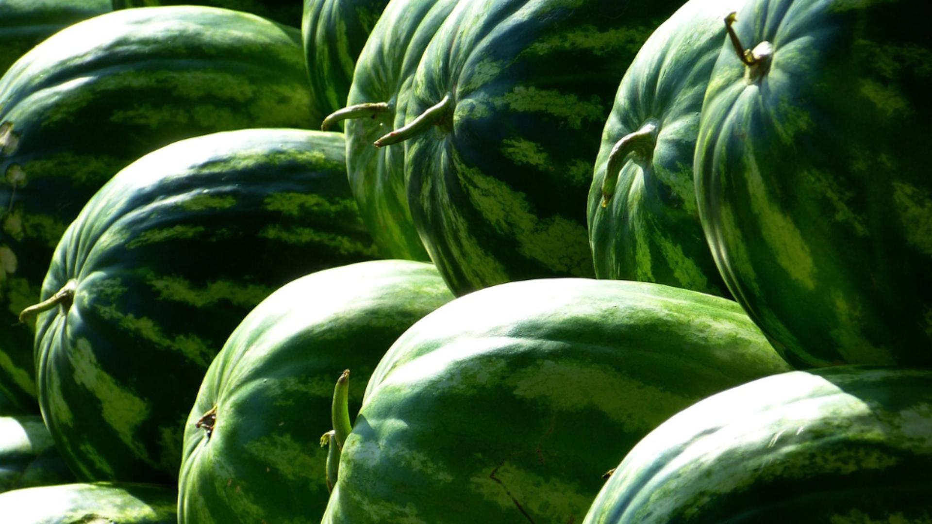 Trucuri esențiale pentru a alege cel mai dulce pepene roșu. Detaliile care fac diferența în piață