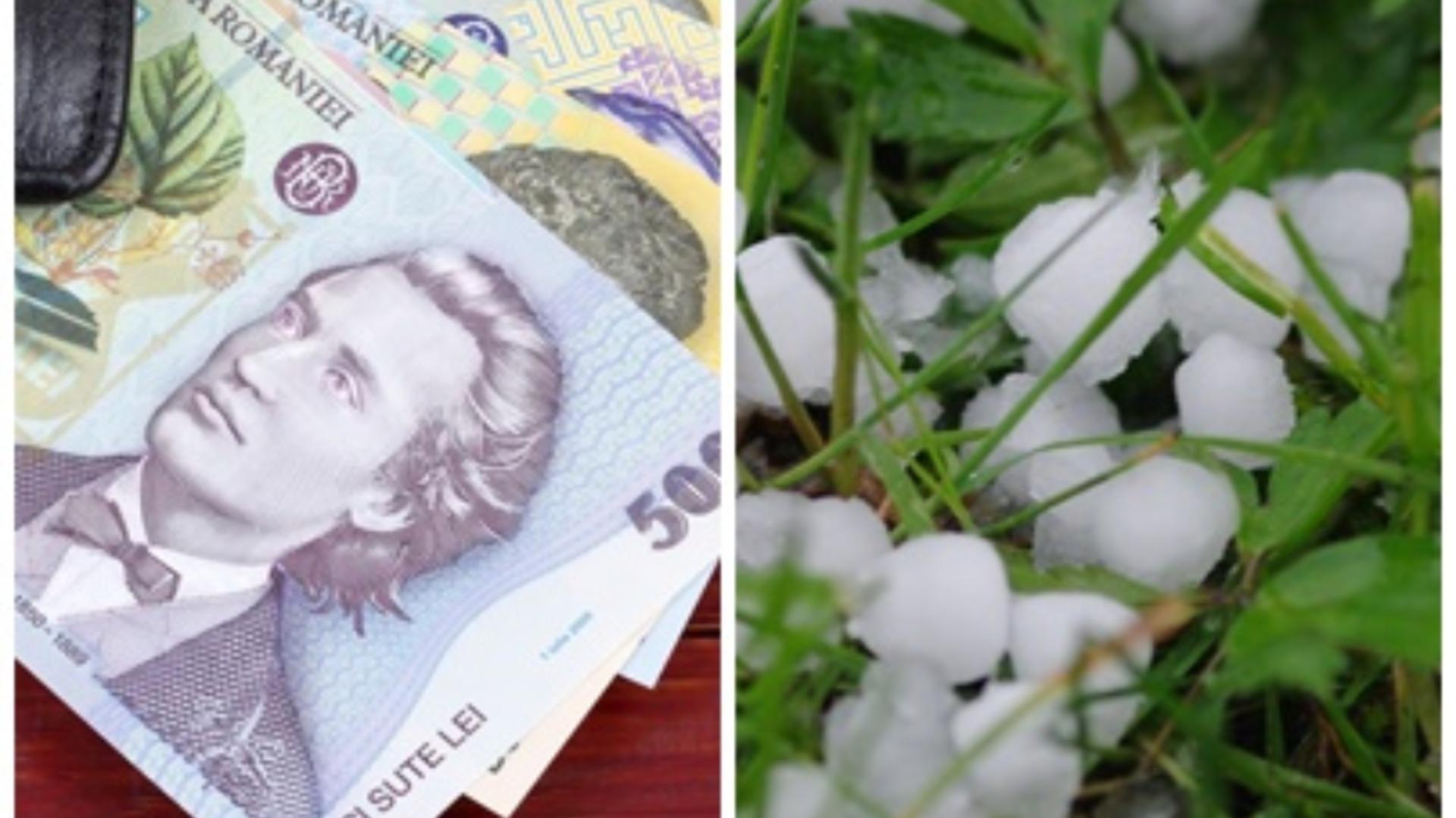 Oamenii care stau degeaba la stat! Salarii uriașe pentru angajații unei agenții care funcționează degeaba/ Colaj foto Profimedia