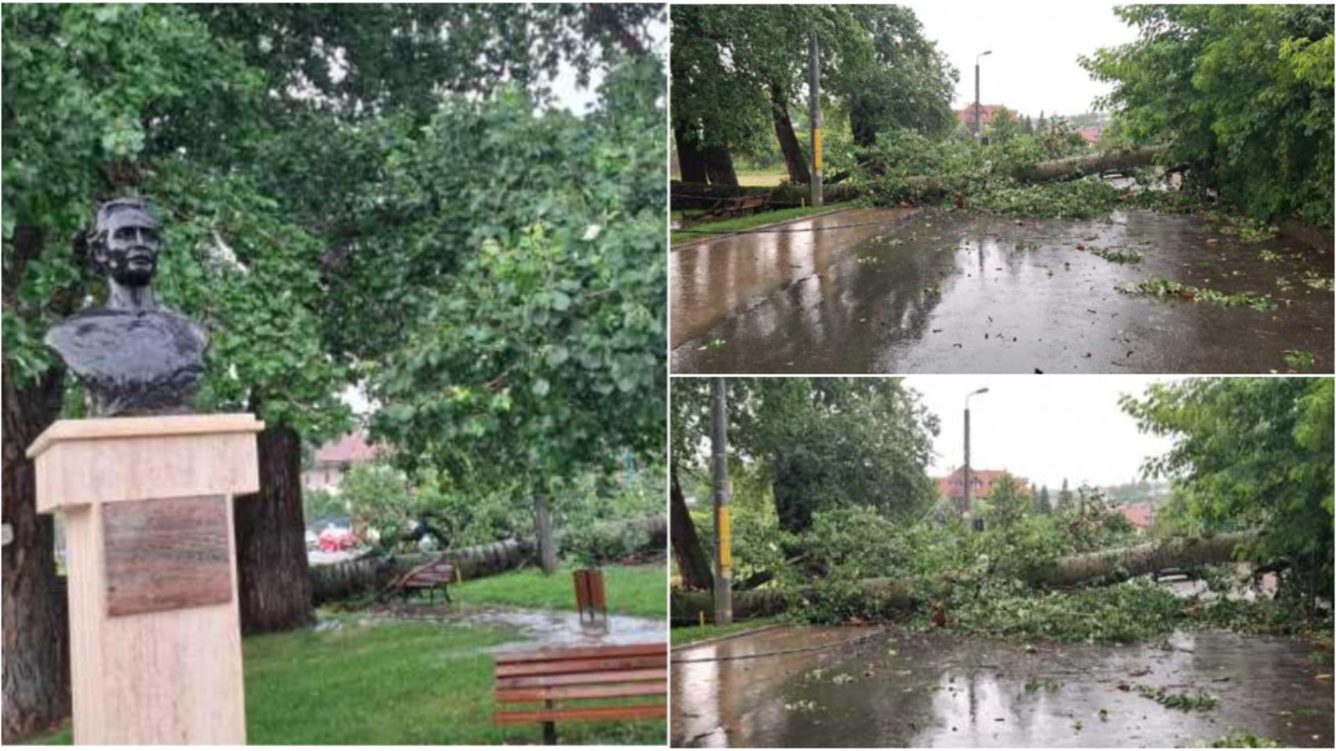 ”Plopii fără soț” ai lui Mihai Eminescu devin istorie! FOTO: ISU Iasi