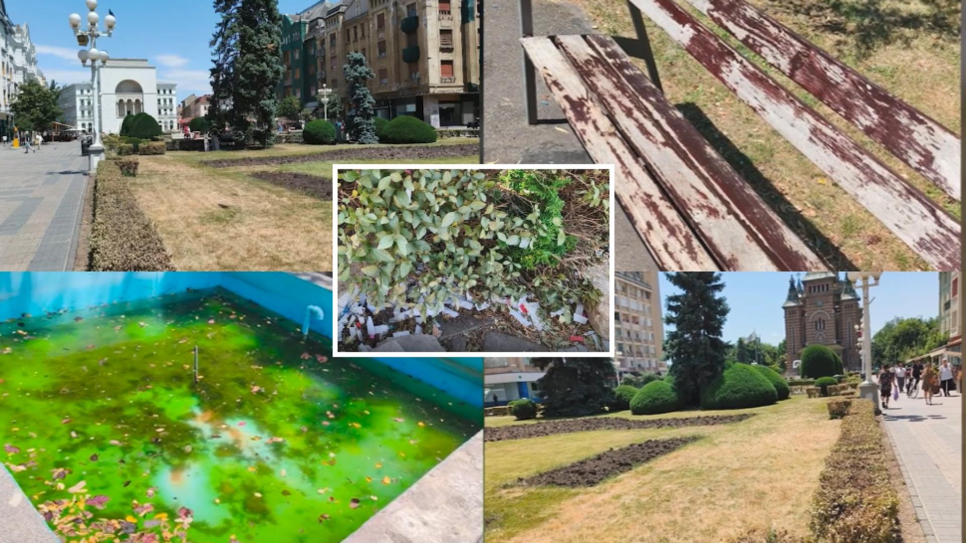 Orașul în care domnește Dominic Fritz, sub alertă roție de praf și mizerie!