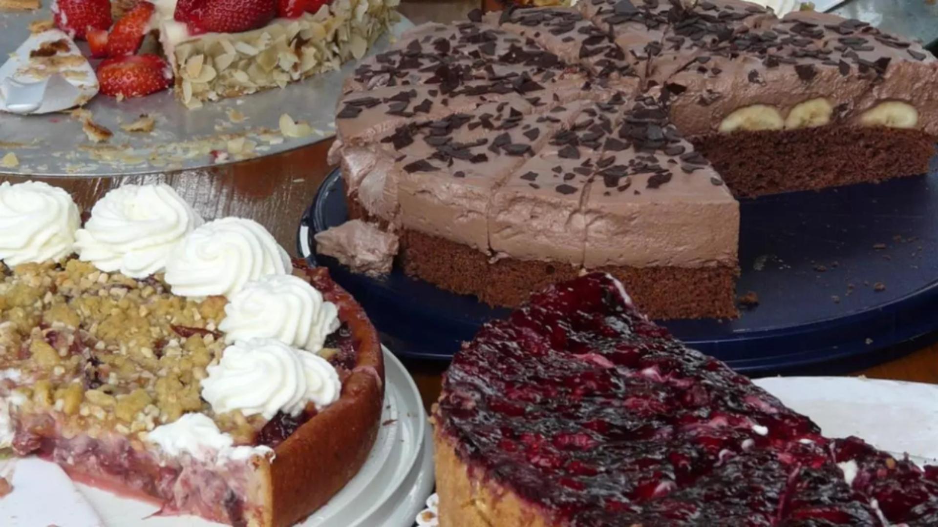 Tortul care ne ajută să slăbim