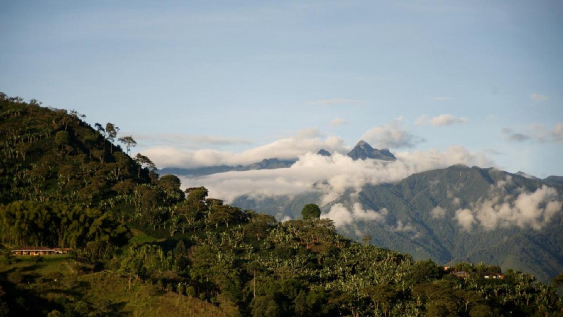 Descoperire genetică uluitoare în Columbia: un tip de ADN necunoscut până acum, identificat în rămășițe umane vechi de mii de ani