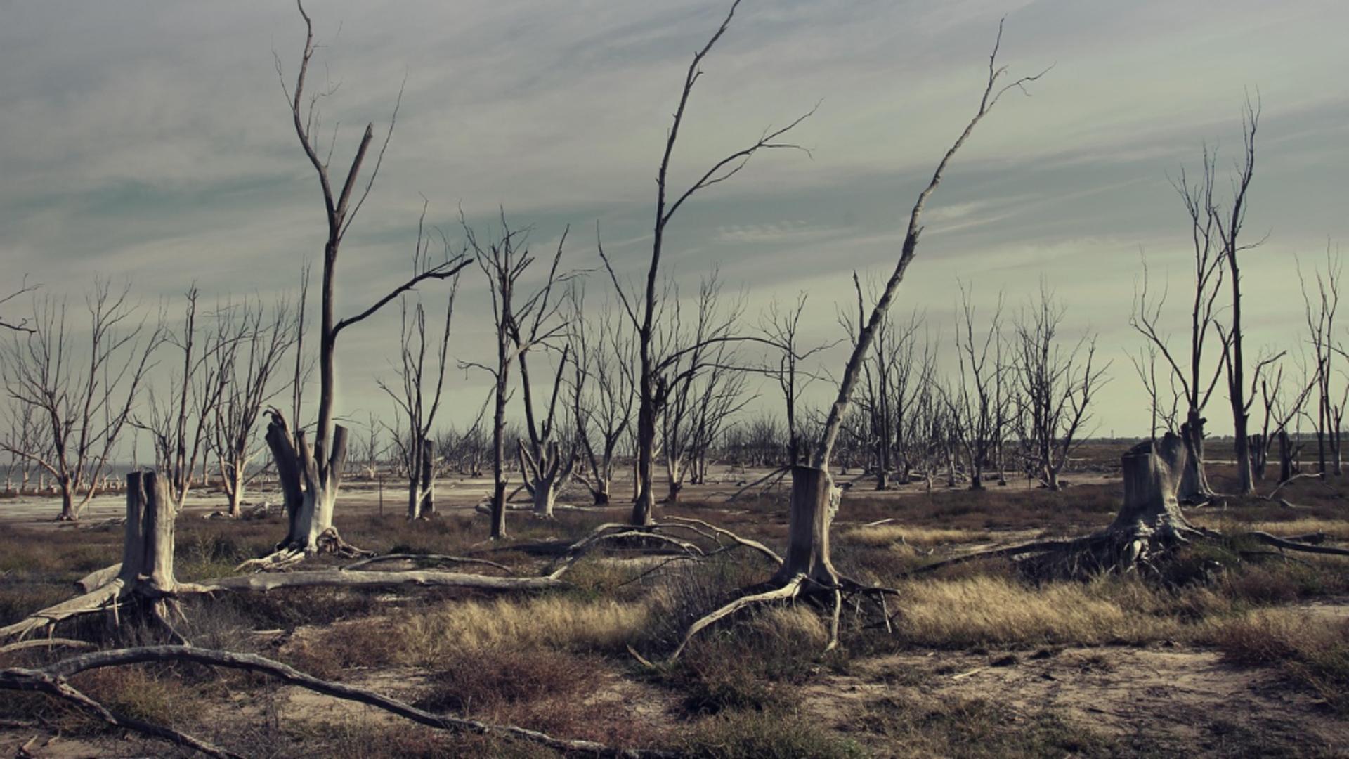 Omenirea în PERICOL! Risc URIAȘ să rămânem fără apă. Comisar de mediu: „9 din 10 râuri din România își vor reduce debitul!”