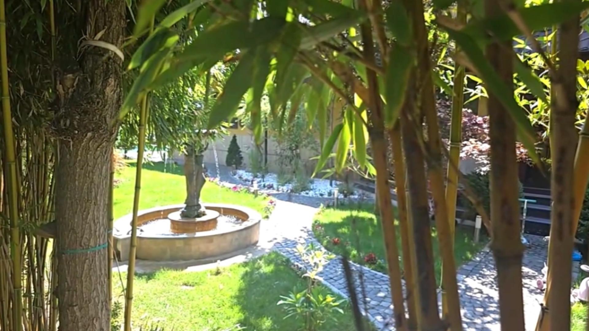 "Fortăreața" lui Piedone: cum arată vila ascunsă a șefului ANPC / Captură video