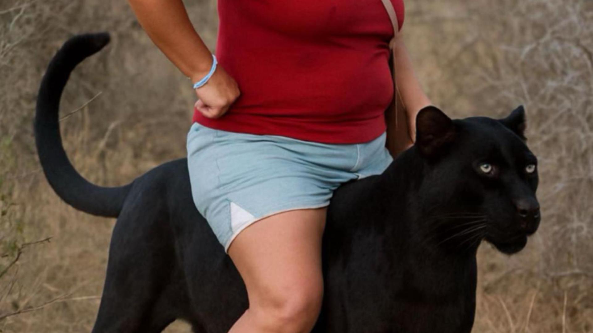 Pantera neagră, vedetă pe internet: glume, meme-uri și promoții în valuri, după apariția felinei misterioase în România