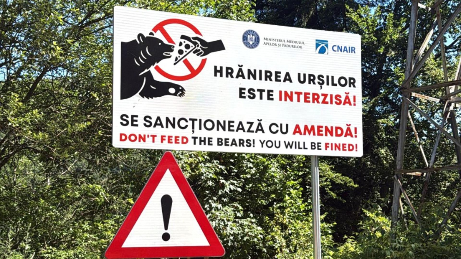 Romsilva, semnal de alarmă după tragedia de pe Transfăgărășan: În zonă există 112 urși, față de 25 cât ar fi optim/ Foto: Facebook Romsilva