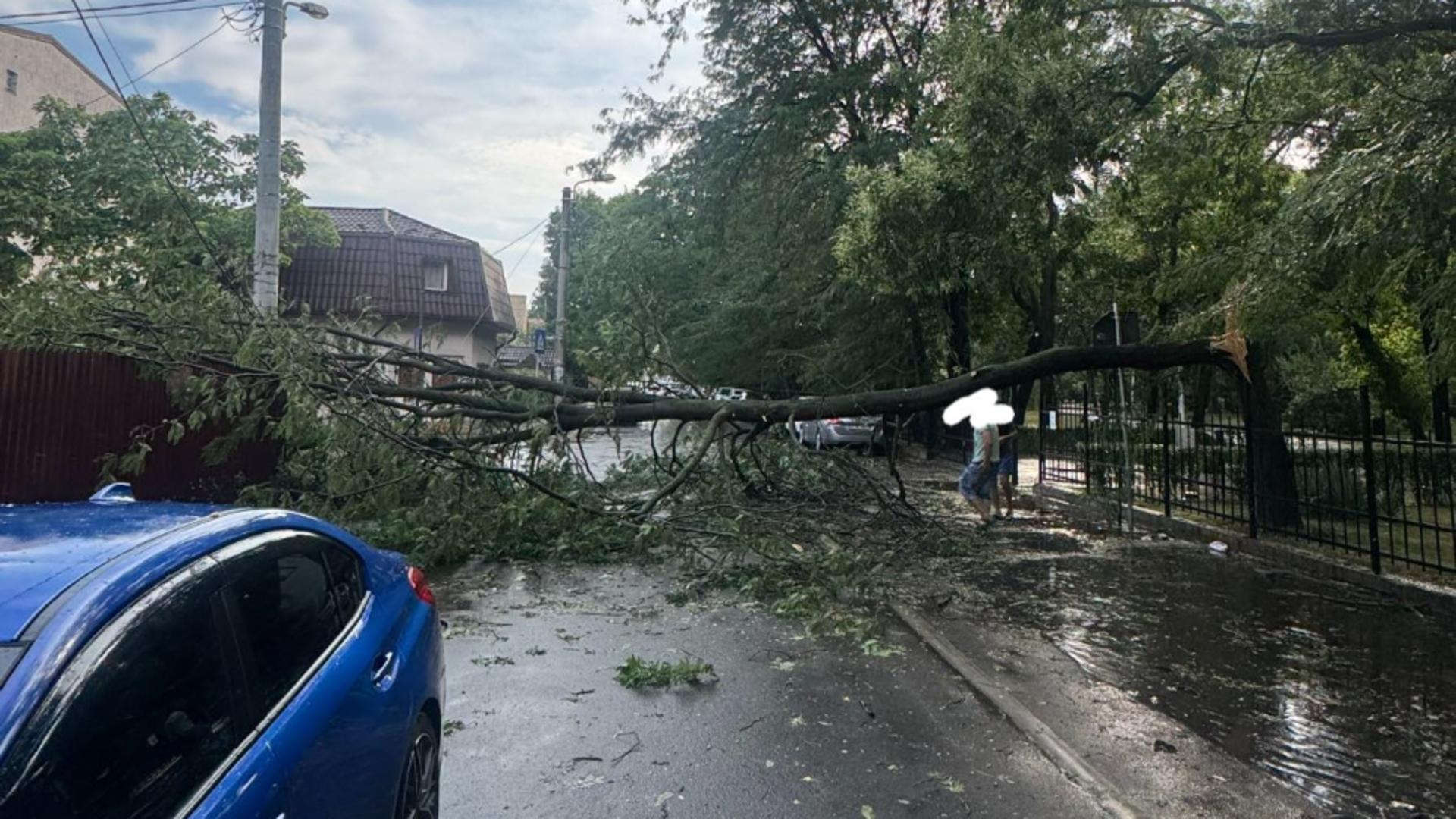 București, sub asediul furtunii: copaci doborâți pe mașini, carosabil și conducte de gaze. Autoritățile lansează apeluri la prudență