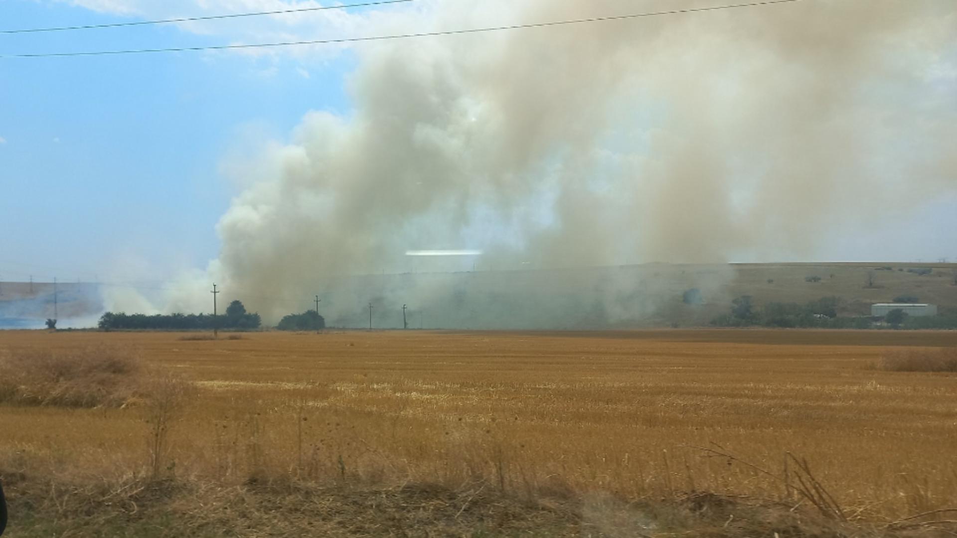 Focul se extinde rapid din cauza căldurii și a vântului (foto: FB/N. Nechitoaea)