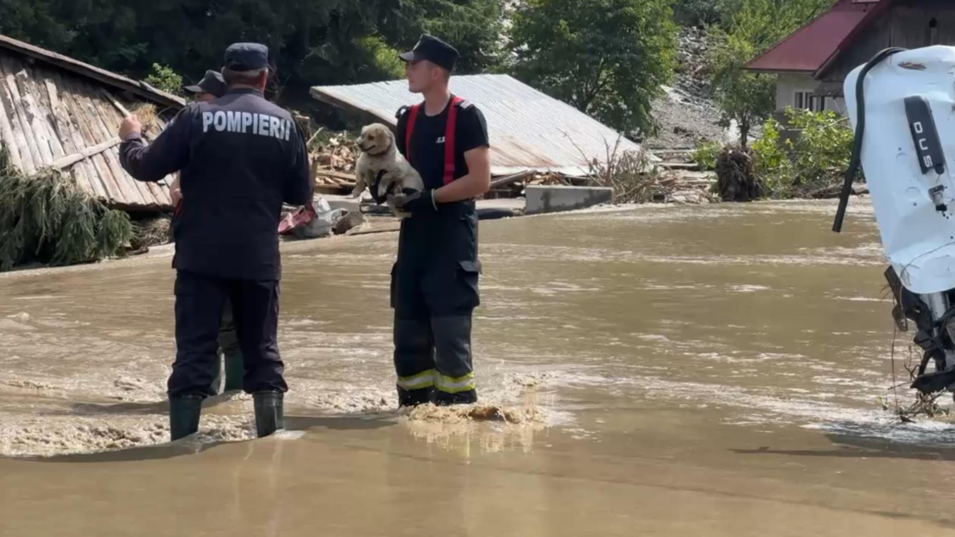 Risc de viituri în toată țara! Județele Suceava și Neamț, din nou în pericol: avertismentul hidrologilor /Meteoplus