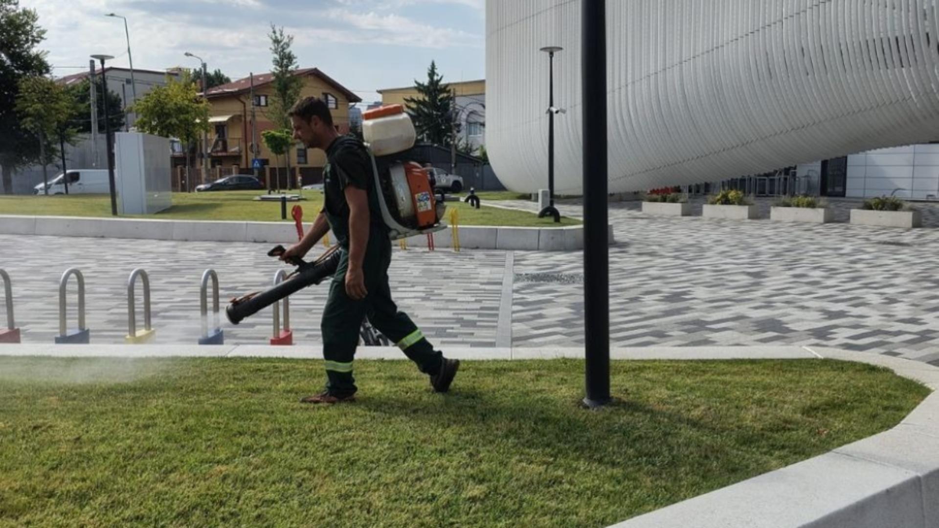 Spații verzi rămase fără cusur în Sectorul 4, la capătul perioadei de caniculă