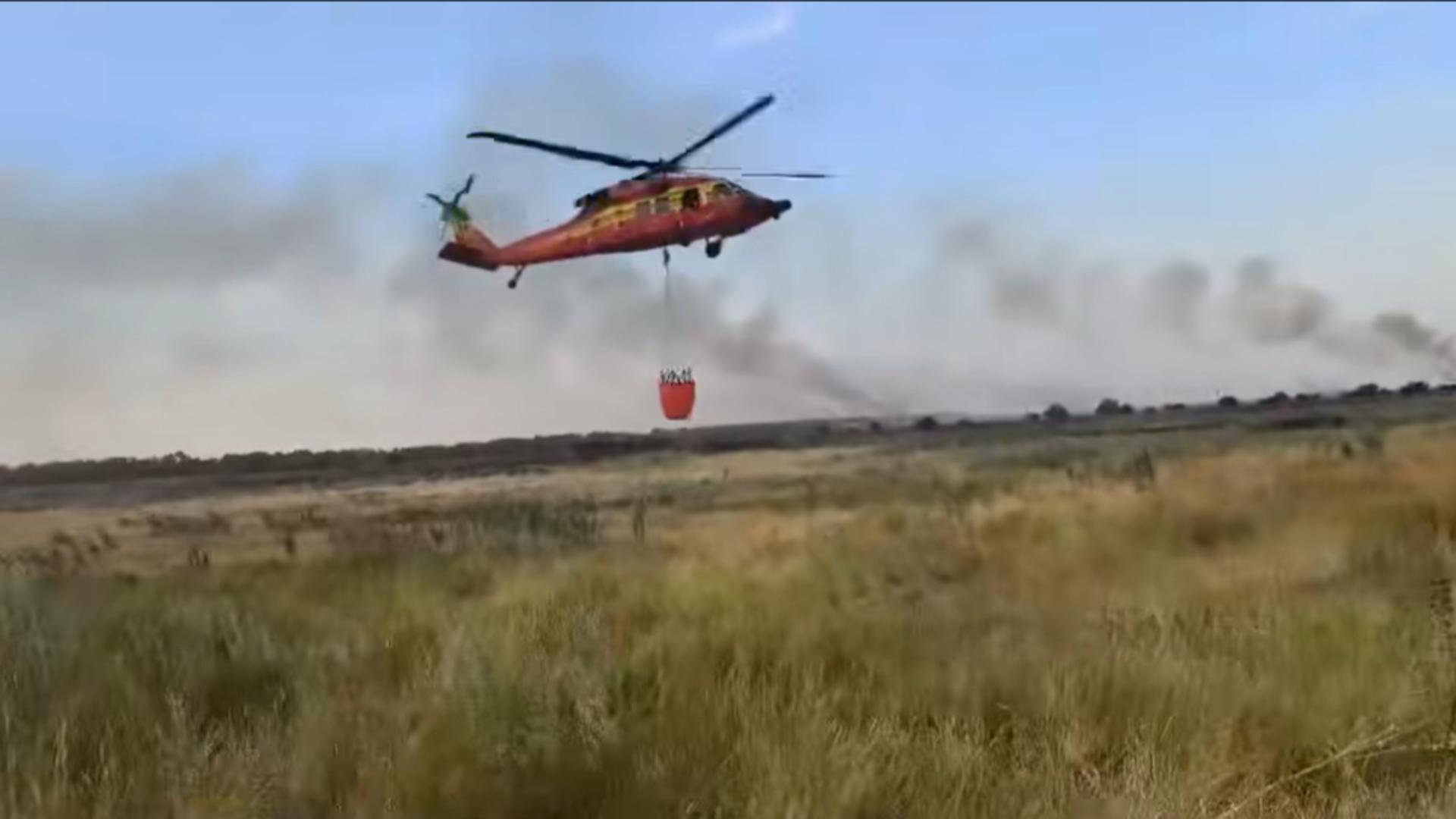 Intervenție a ISU Tulcea la un incendiu din zona Chilia Veche (7 iulie 2025)