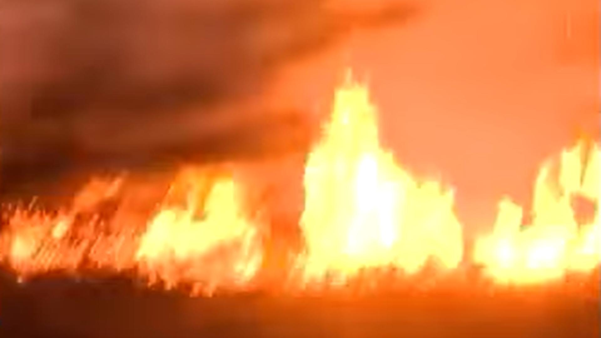 Incendii devastatoare în Bulgaria: 236 de focare, armata mobilizată, ajutor UE în drum/ Captură video